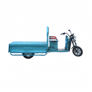 48V Electric Cargo Tricycle 1.1m Box