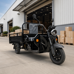 1000W Electric Cargo Trike 500kg Load
