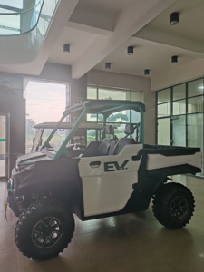LVTONG UTV 144 V Strong Power with Lithium Battery Hunting Buggy Mountain Climbing