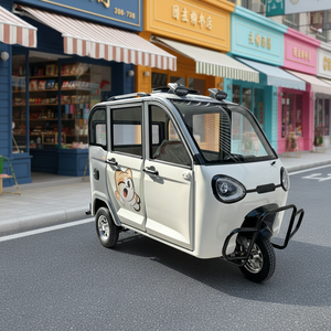 EEC COC Electric Tricycle Four-Door Passenger Vehicle