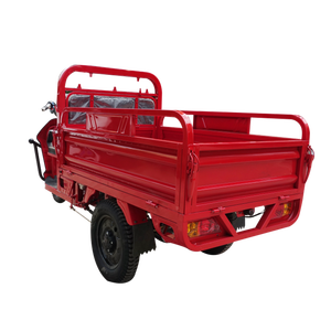 Mobility Electric Vehicle T3 Cargo Tricycle