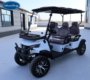 Professional Customized 4 Seater Electric Golf Buggy Lithium