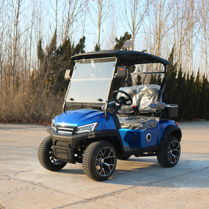 New Design 2 Seat 6 Seat Golf Cart Electric Road Utility Vehicle